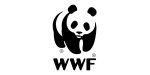m-transition-clientele-02-wwf